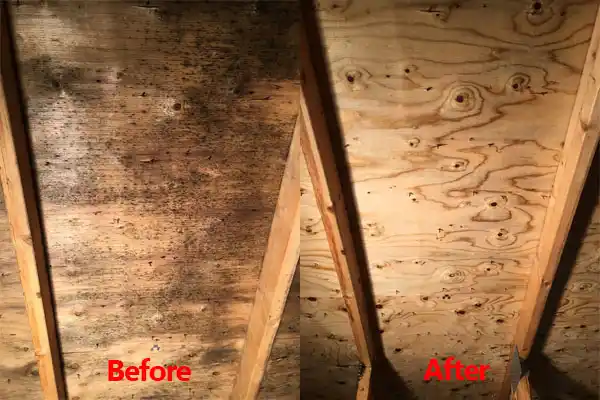 water damage restoration service Coloma